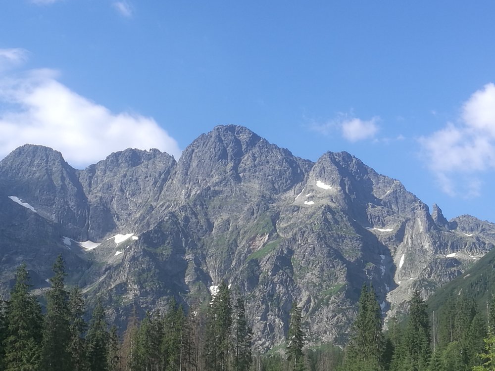 IMG_20190707_083631.jpg