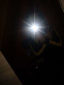 Magiczny Kasztan