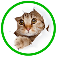 image.png.663b6ed52110ba9e52367876c2b8d252.png