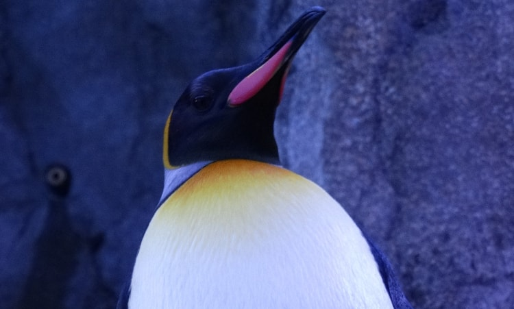 image.png.a668a62c7202576933a507c1987ac8a4.png