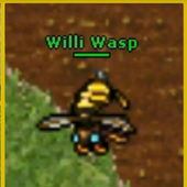 Wasp