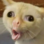 SniX3n