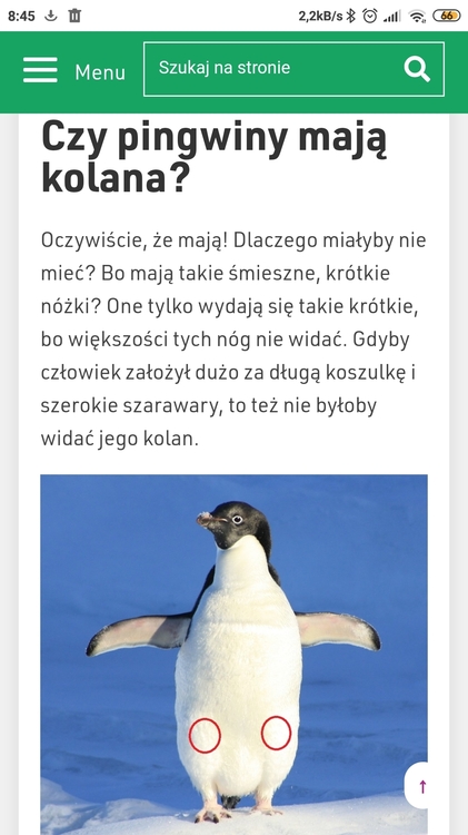 Screenshot_2020-07-13-08-45-27-174_com.android.chrome.jpg