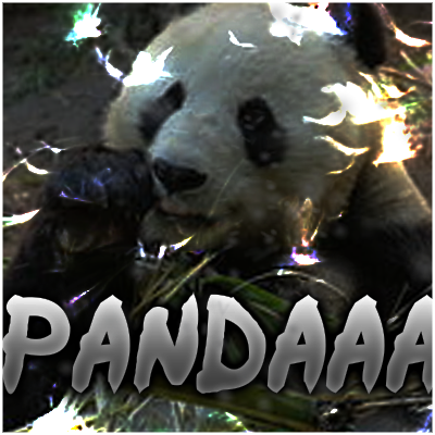 panda.png.77bec3cc5d84b4ccc5824018821ae0af.png