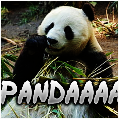 pandaa.png.38b1596ea0c1b5cafa0e3c4ec90c29b5.png