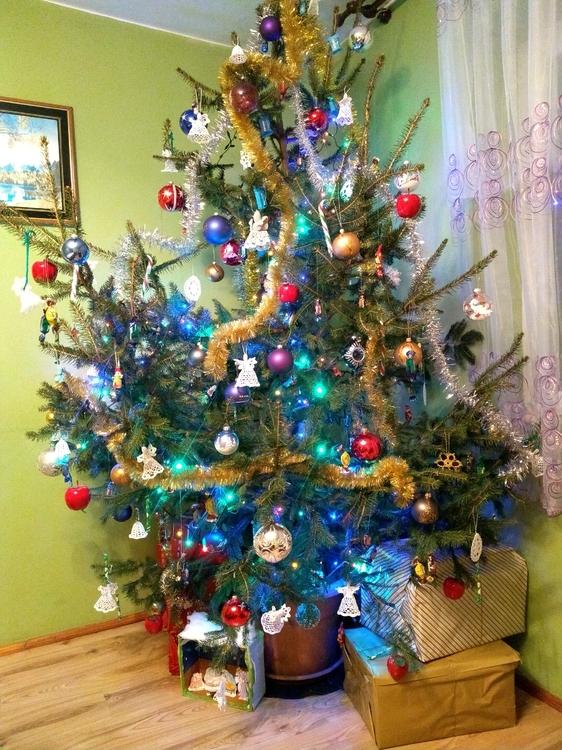 IMG_20201224_162408340.jpg
