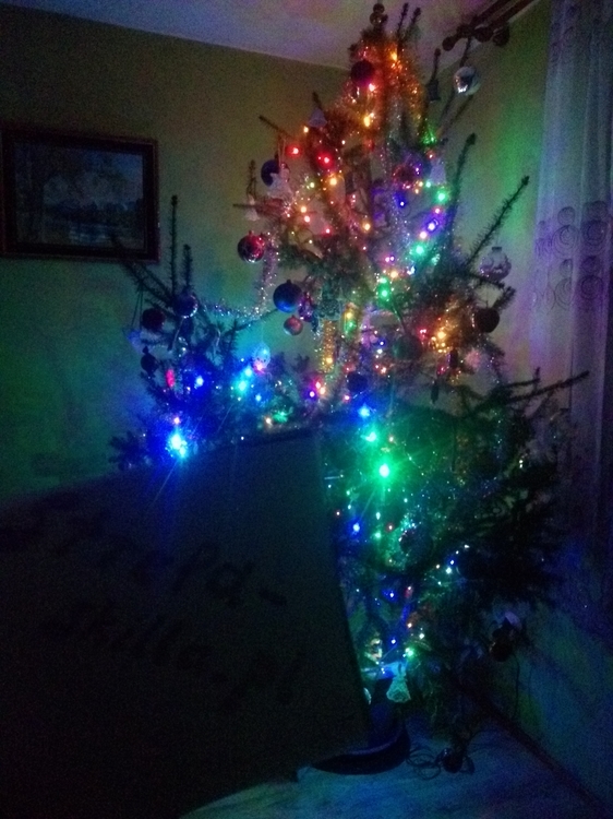 IMG_20201228_220725924.jpg