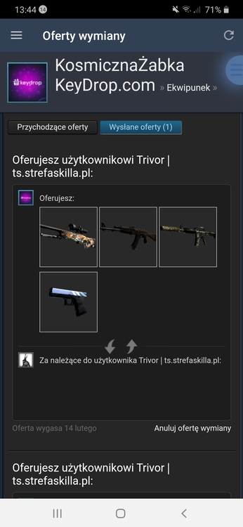 Screenshot_20210131-134452_Steam.jpg