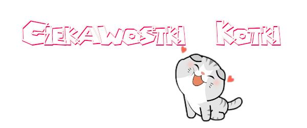aaaa443.png.ead66ee5acc774134aa1f2845f50de5d.png