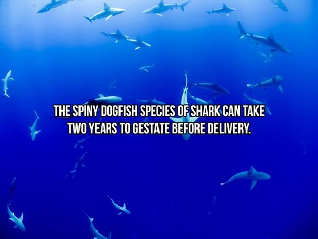 image.png.1eefabe7a00aa2982e9b3d4c9015a0b1.png