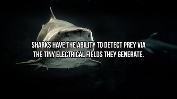 image.png.67c4db085b6be805c02e48ba71d9f893.png