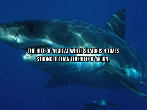 image.png.daa784662e55465a4d5b8f3f1d63044b.png