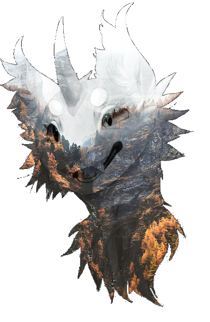 lisek1.png