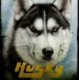 Husky