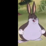 chumorek1h