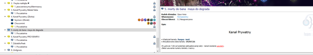 teamspeak 4.png
