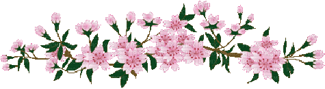 1792954_9f177.gif.872c0216652b3b46957247c52048ac7b.gif