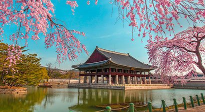 korea-poludniowa-i-japonia-yin-i-yang_2243_111082_170042_410x225.jpg.83a1bcb90b502edf3b04265822b089de.jpg