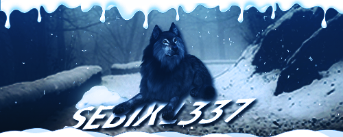 sebix.png.e9e28d39b67104f3bd9c1ea4097e91dc.png