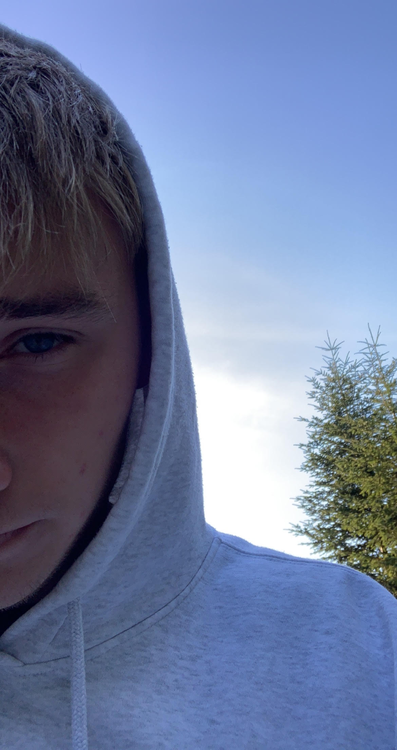 image.thumb.png.e2b6ff79eebcc5278afea3a63e5e220b.png