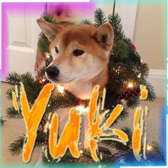 Yuki