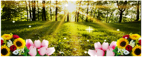 Amelia2115-Sygnatura.gif.1e98cc9f88e3d9d4fb676d920bf6b1ca.gif