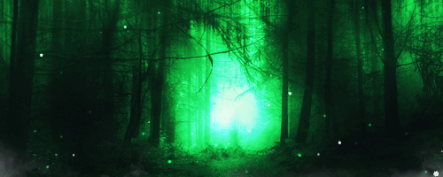 pRX94Pf.gif.bebf9505d7fc3eaf6320278e8ca3d5e3.gif