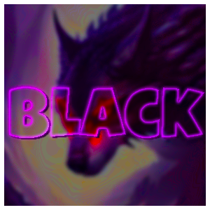 BLACK.png.54bce6e1d4c0da3b967b48e1dbe840ec.png