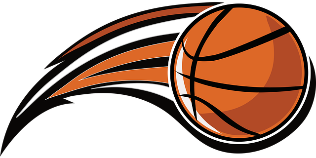 basketball-4264543_640.png.31c270b6eaed9e1642693196ddba40c4.png.6260cb392eaadeeec2d1d939ef33aff9.png