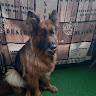 KaszeL
