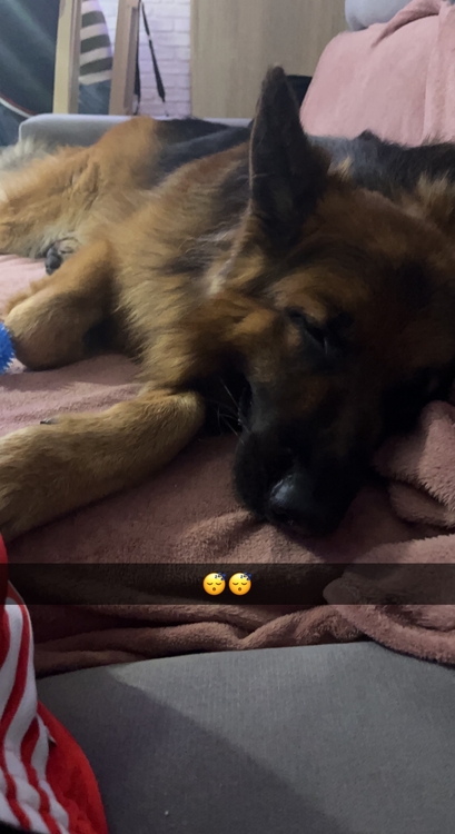 IMG_0903.jpeg