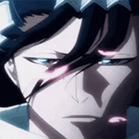 Byakuya.gif.8bbaee640f1165308370058004fafc71.gif