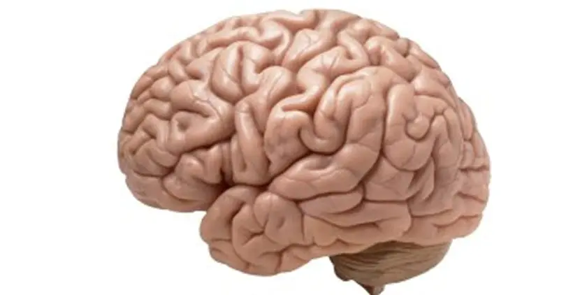image.png.110f04dff45f90a8ce19f4c386b699be.png