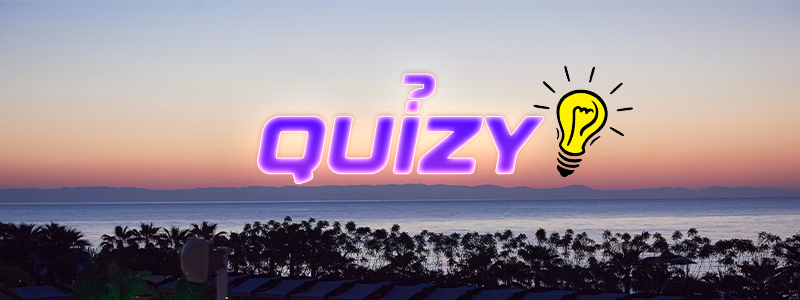 QUIZY.png