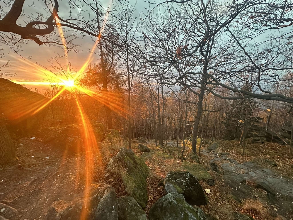 1234566.jpg