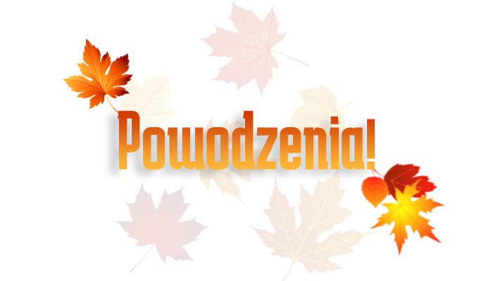 Nowyprojekt(11).png.cf5de8ba995d0ab915f9c70f702eb140.png