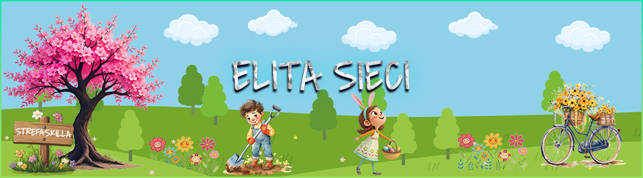 ELITA SIECI.png