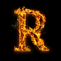 rolooo