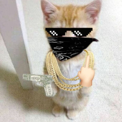 tiltmann