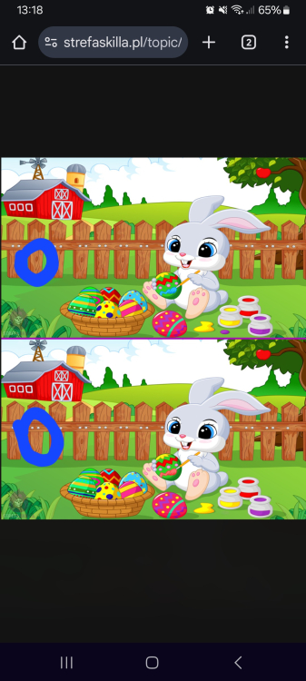 Screenshot_20250421_131855_Chrome.jpg