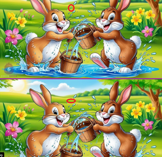 image.png.b89bde20597e4d87e63fb2ff76f01443.png