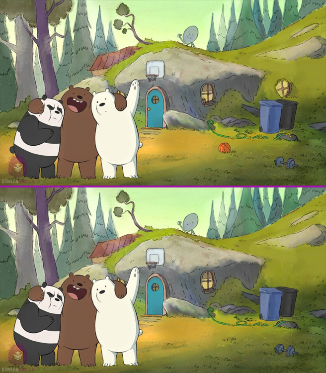 zanjdz roznice template.png
