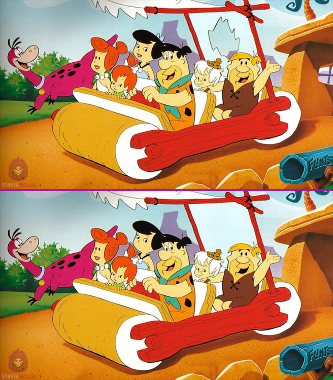 zanjdz roznice template.png